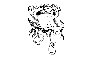 Норби и пропавшая принцесса. Норби и захватчики - pic_60.png