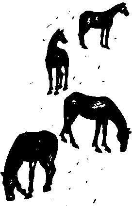 Зимовка Зор-Мазар - img02.png