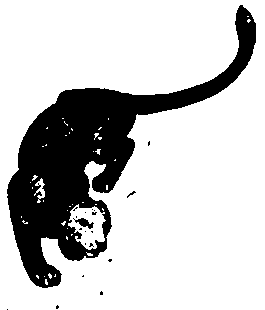 Зимовка Зор-Мазар - img03.png