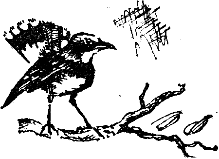 Тайна двухэтажного города - i_008.png