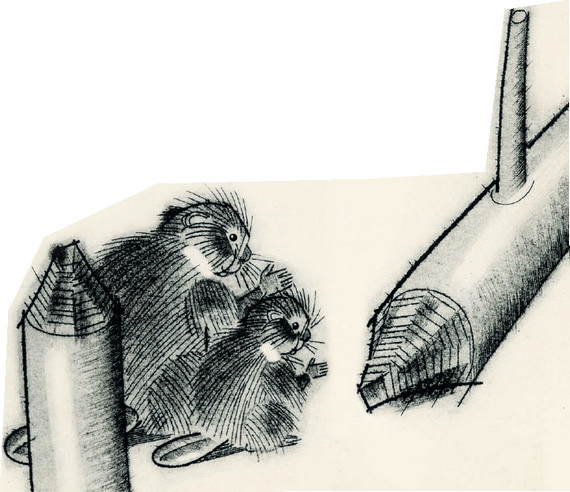 Дремучий медведь (с илл.) - i_017.jpg