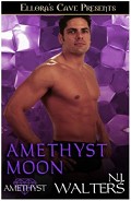 Серия книг Аметист