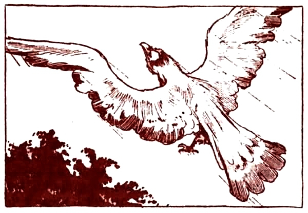 Волшебство Страны Оз (с илл.) - i_005.jpg