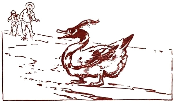 Волшебство Страны Оз (с илл.) - i_035.jpg