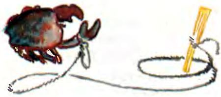 Крабий тупик - i_009.jpg