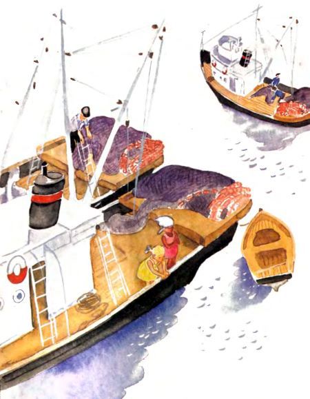 Крабий тупик - i_013.jpg