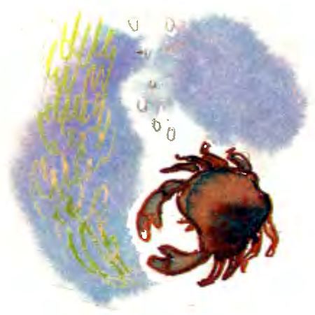 Крабий тупик - i_022.jpg