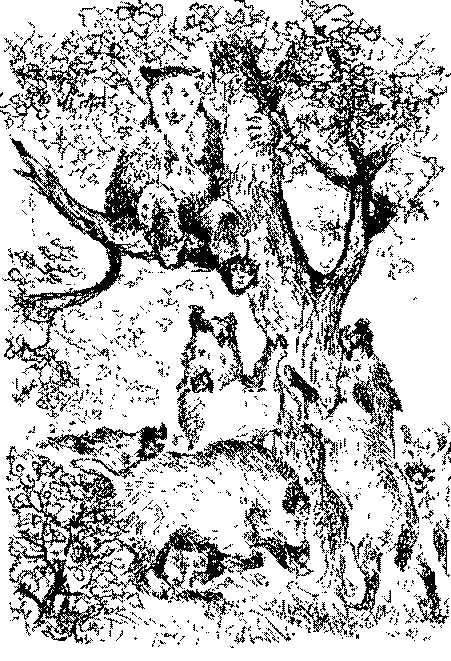 Песни черного дрозда (сборник) - pic_17.png