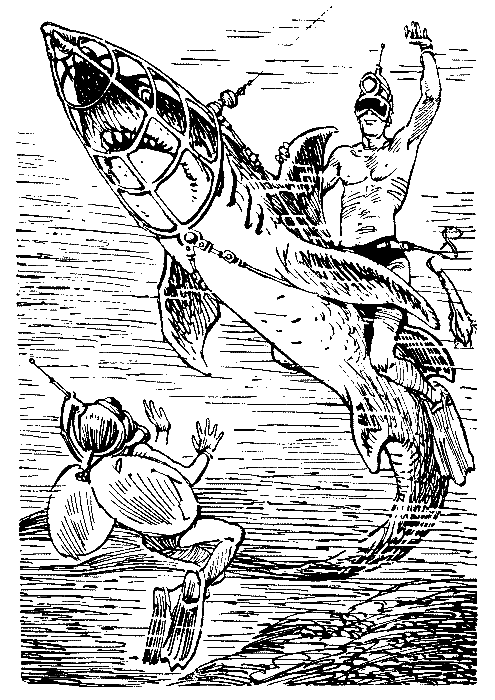 Победитель невозможного (сборник) - pic_29.png