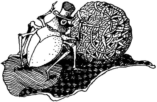 Школа волшебства и другие истории - i_035.jpg