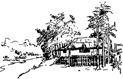 Дети великого океана - i_009.png