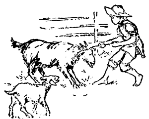 Дети великого океана - i_010.png