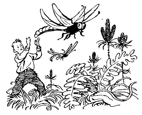 Необыкновенные приключения Геннадия Диогенова - pic_13.png