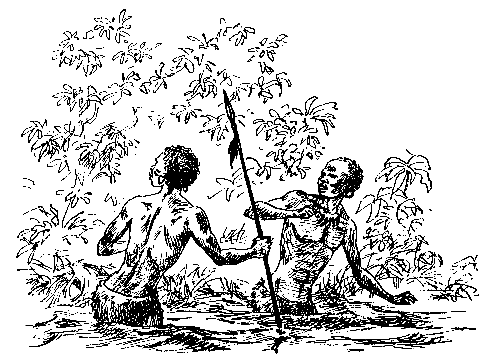 Берег черного дерева и слоновой кости (худ. С. Яровой) - pic_16.png