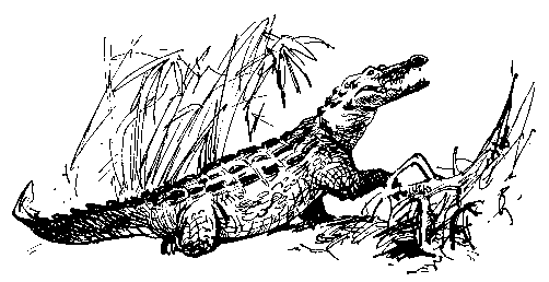 Берег черного дерева и слоновой кости (худ. С. Яровой) - pic_18.png