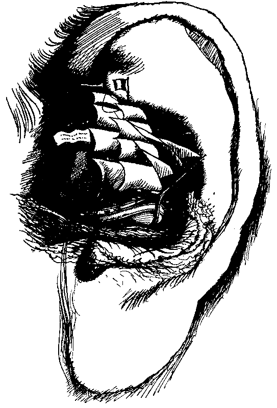 ЧАО — победитель волшебников (сборник) - pic_43.png