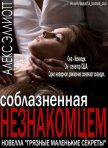 Соблазненная незнакомцем (ЛП) - Эллиотт Алекс