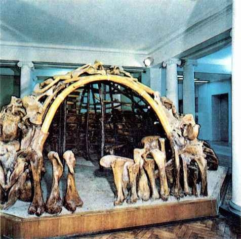 История Украинской ССР в десяти томах. Том первый - img_1.jpg