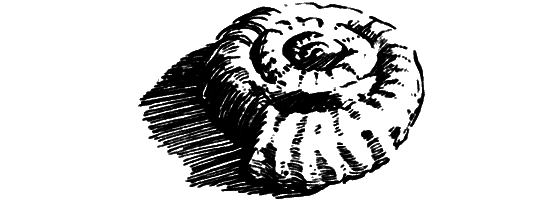 Путешественники-невидимки - i_021.png