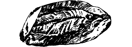 Путешественники-невидимки - i_022.png