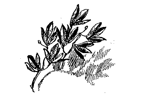 Судьба открытия - pic_29.png