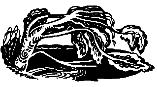 Операция «Муравей» - pic_6.png