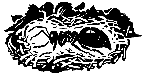 Операция «Муравей» - pic_7.png