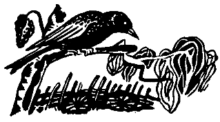 Операция «Муравей» - pic_9.png