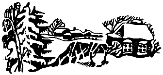 Операция «Муравей» - pic_11.png