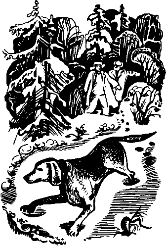 Операция «Муравей» - pic_14.png