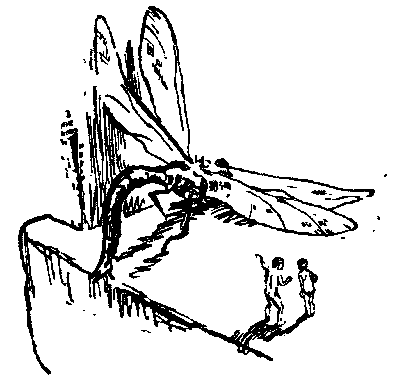 Необыкновенные приключения Карика и Вали (Художник Г. Фитингоф) - pic_3.png