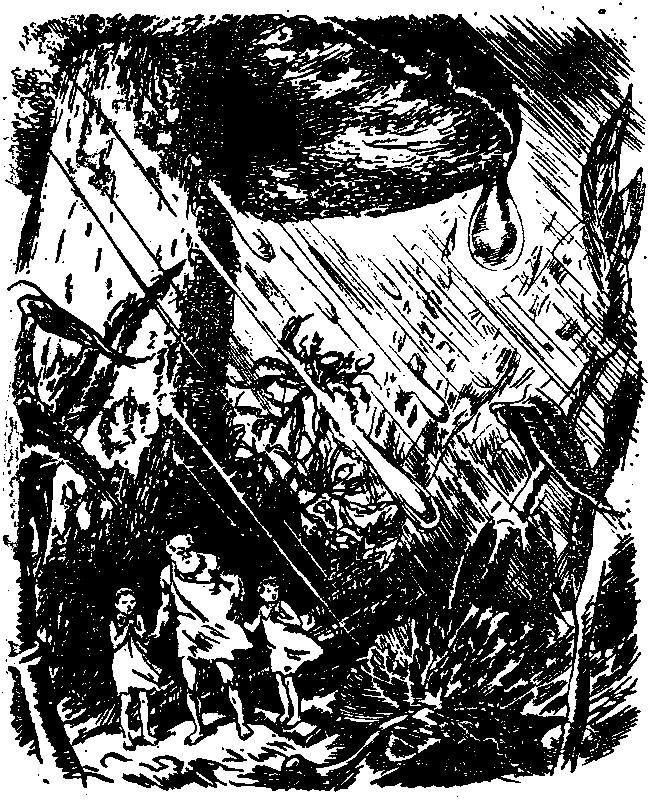 Необыкновенные приключения Карика и Вали (Художник Г. Фитингоф) - pic_14.png