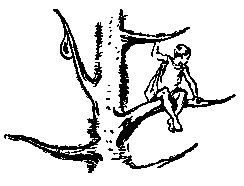 Необыкновенные приключения Карика и Вали (Художник Г. Фитингоф) - pic_15.png