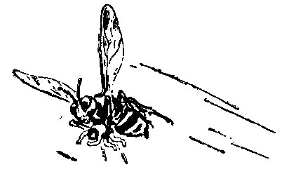 Необыкновенные приключения Карика и Вали (Художник Г. Фитингоф) - pic_18.png