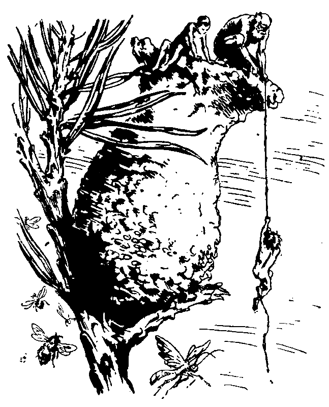 Необыкновенные приключения Карика и Вали (Художник Г. Фитингоф) - pic_19.png