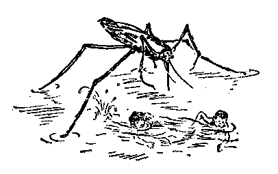 Необыкновенные приключения Карика и Вали (Художник Г. Фитингоф) - pic_5.png