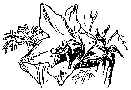 Необыкновенные приключения Карика и Вали (Художник Г. Фитингоф) - pic_22.png