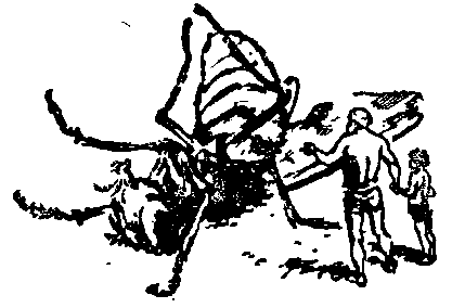 Необыкновенные приключения Карика и Вали (Художник Г. Фитингоф) - pic_24.png