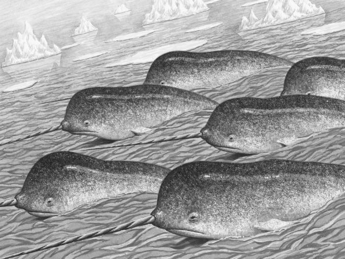 Звездный - pic2.jpg