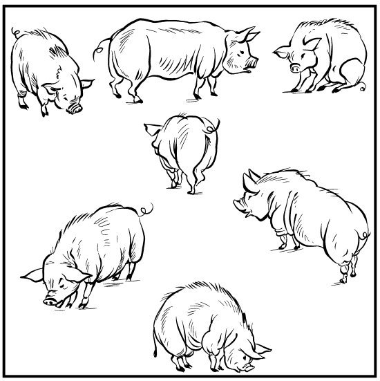 Головоломки. Задачи. Фокусы. Развлечения - i_035.jpg