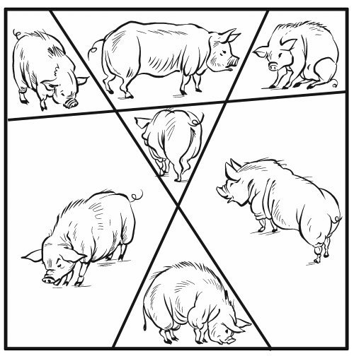 Головоломки. Задачи. Фокусы. Развлечения - i_075.jpg