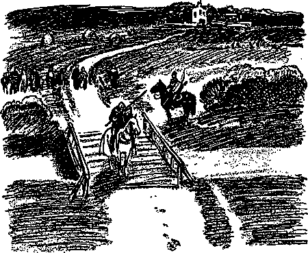 Сэр Найджел (илл. Н. Лямина) - pic_12.png