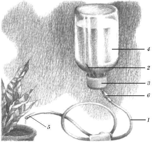 Веселые научные опыты и эксперименты - i_038.jpg