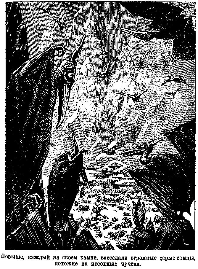 Затерянный мир (илл. С. Ладыгина) 1947г. - pic_13.png