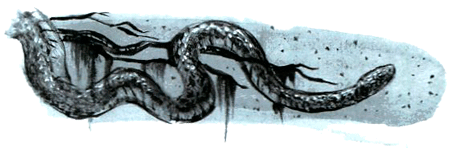 Под крыльцом - img54.png