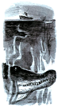 Под крыльцом - img60.png