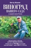 Виноград вашего сада в средней полосе России - Жвакин Виктор