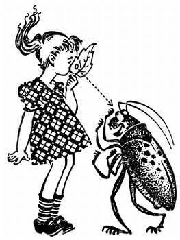 Сто затей двух друзей. Приятели-изобрететели - _107.jpg