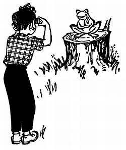 Сто затей двух друзей. Приятели-изобрететели - _118.jpg