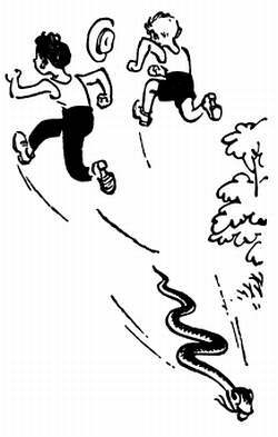 Сто затей двух друзей. Приятели-изобрететели - _152.jpg